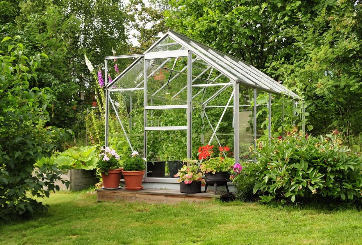 Greenhouse glass