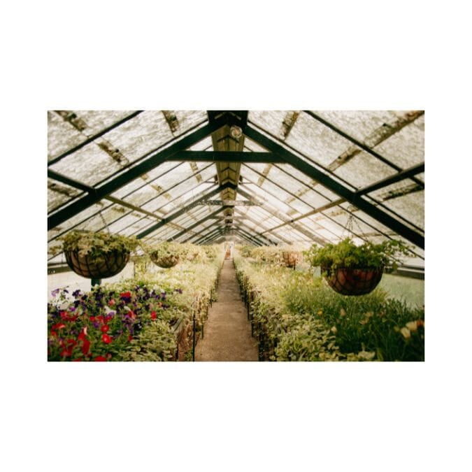 UV Protective Greenhouse Glass