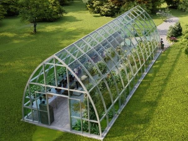 Greenhouse Glass in Cambridge